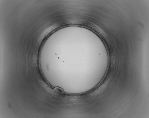 X0000113540930200910091240