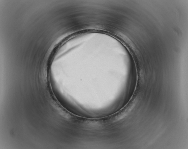 X0000113540931200910091240