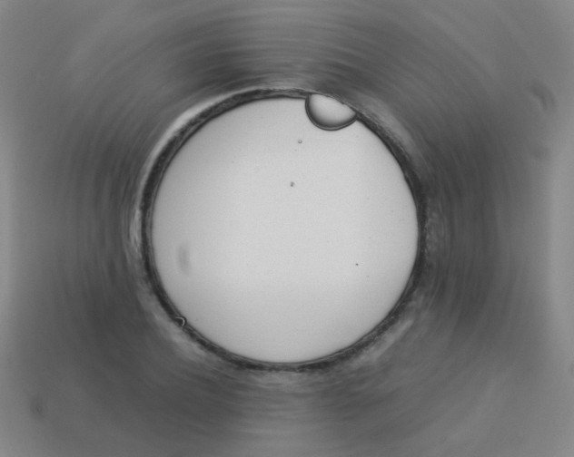 X0000113540932200910091240