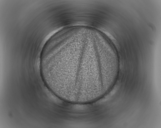 X0000113540933200910091240