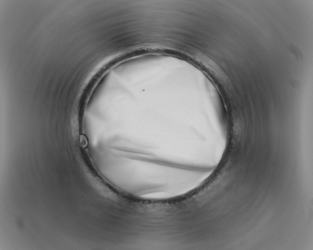 X0000113540934200910091240