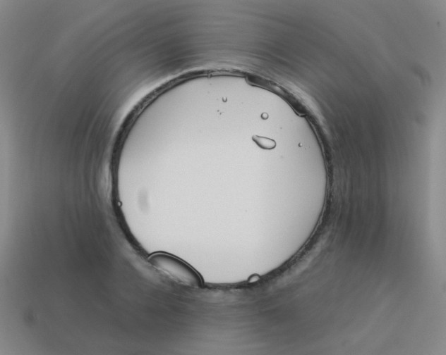 X0000113540936200910091240