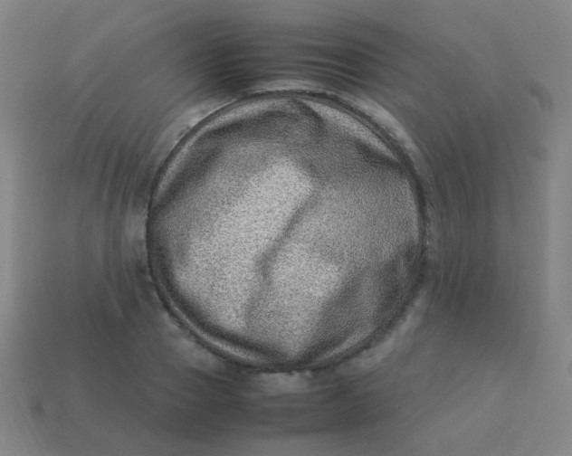 X0000113540937200910091240