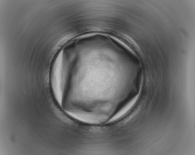 X0000113540938200910091240