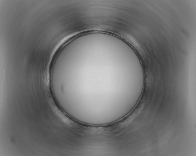 X0000113540940200910091240