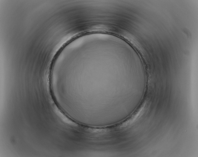 X0000113540941200910091240