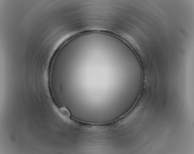 X0000113540942200910091240