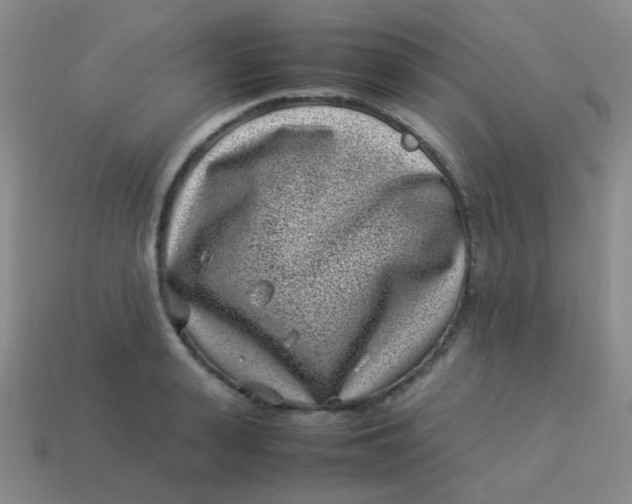 X0000113540943200910091240