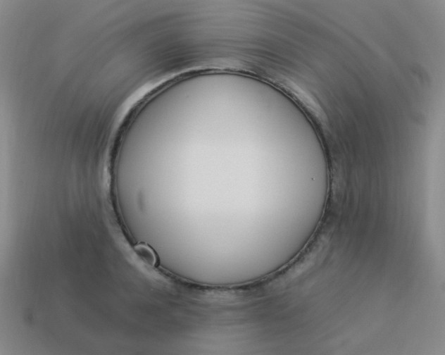 X0000113540944200910091240