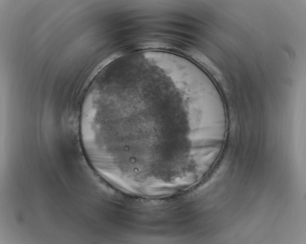 X0000113540945200910091240