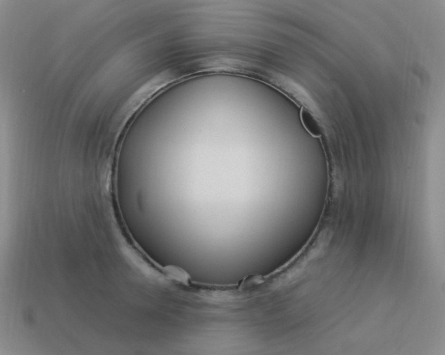 X0000113540946200910091240