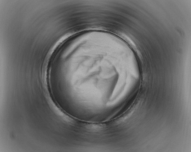 X0000113540947200910091240