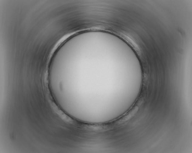 X0000113540948200910091240