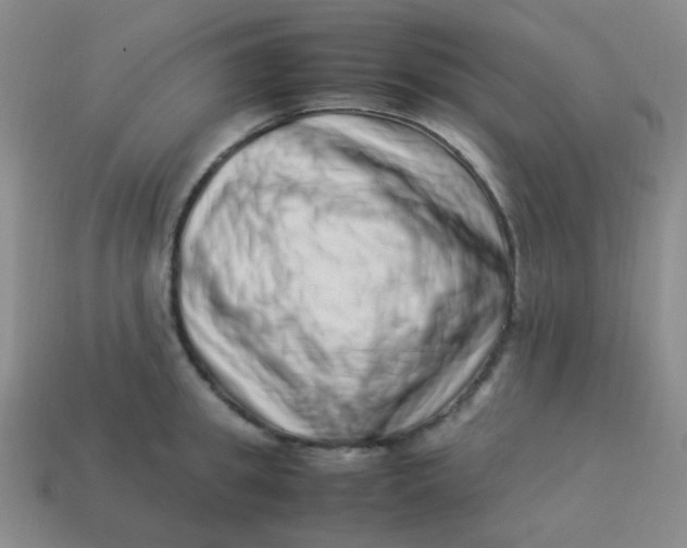 X0000113540949200910091240