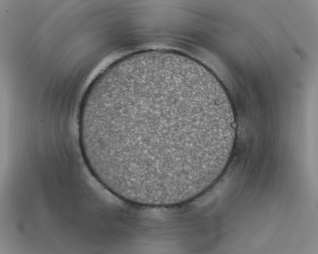 X0000113540950200910091240