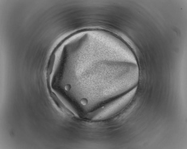 X0000113540951200910091240