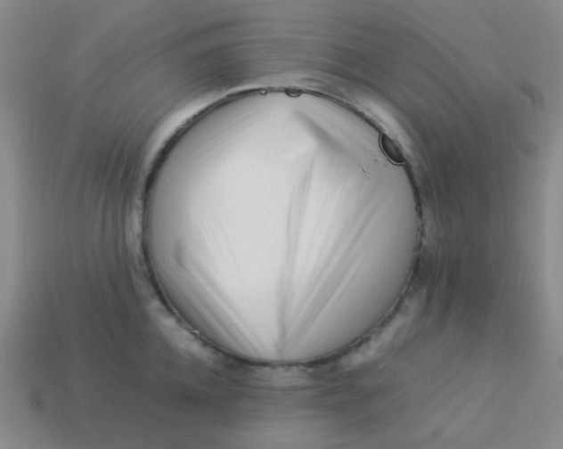 X0000113540952200910091240