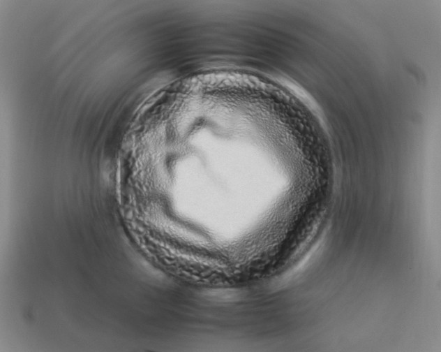 X0000113540953200910091240