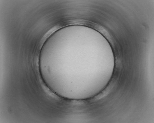 X0000113540954200910091240