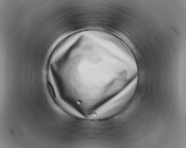 X0000113540955200910091240