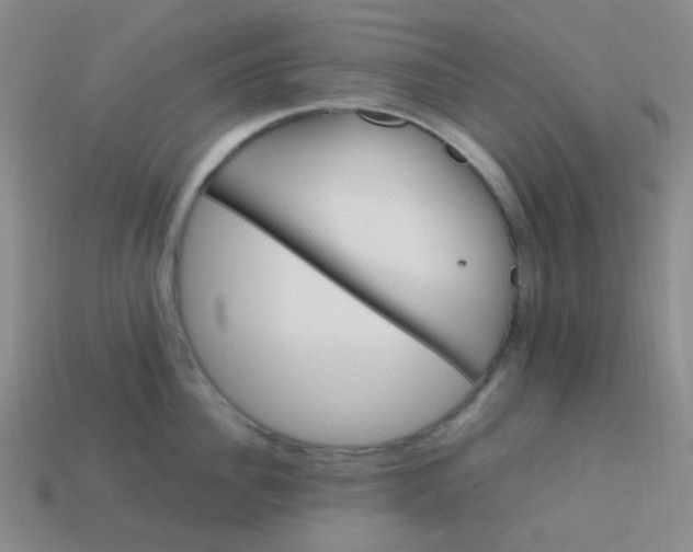 X0000113540956200910091240