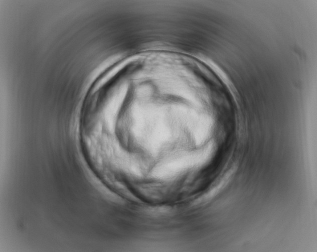 X0000113540957200910091240