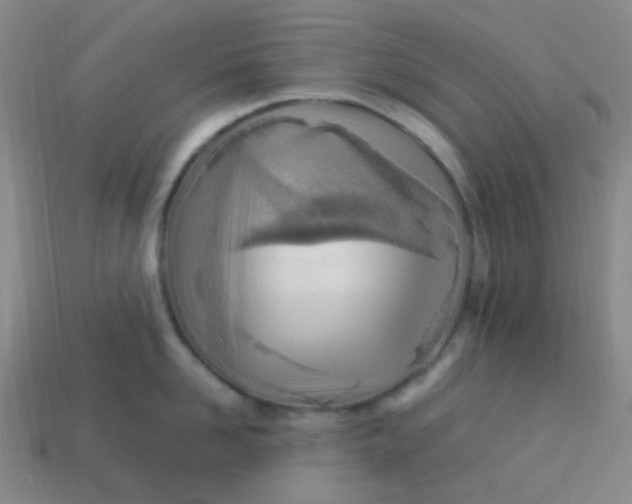 X0000113540958200910091240