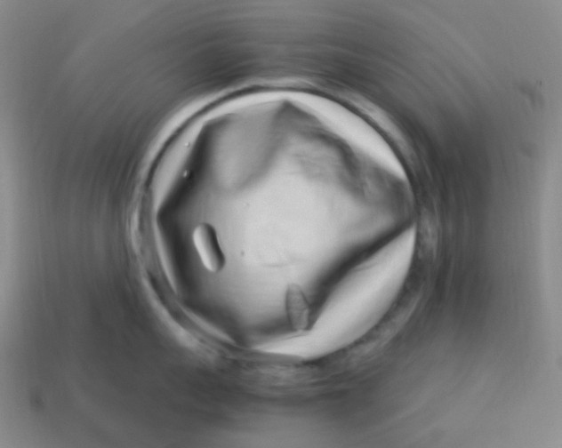 X0000113540959200910091240