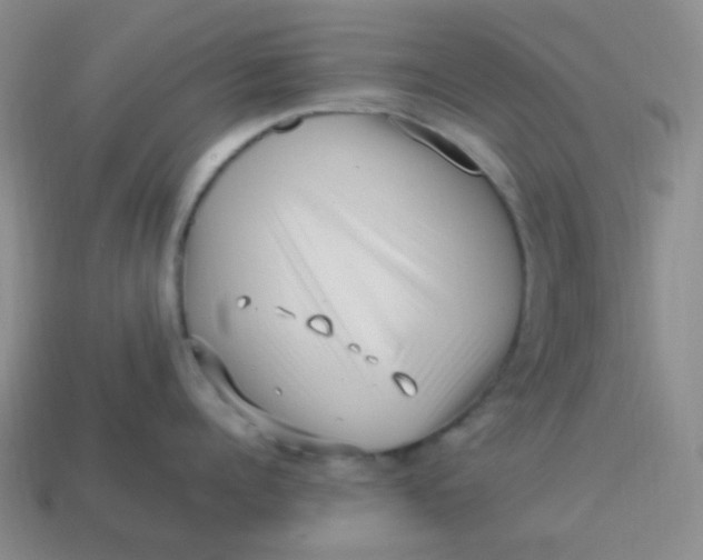 X0000113540960200910091240