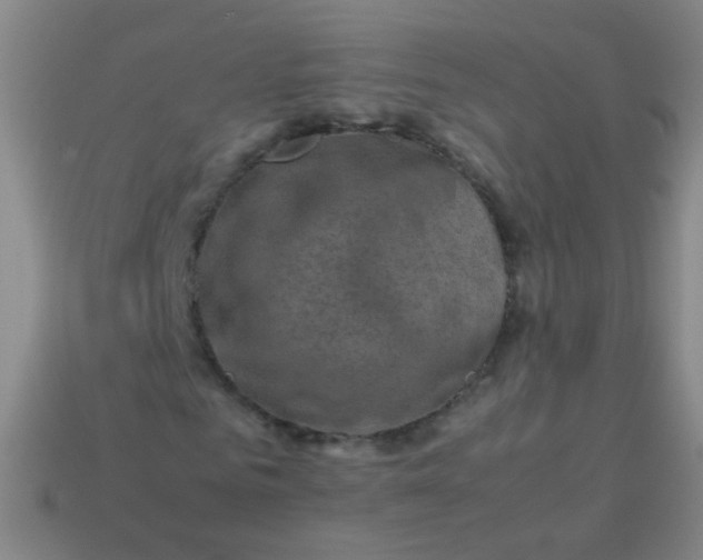 X0000113540961200910091240