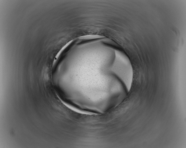 X0000113540962200910091240