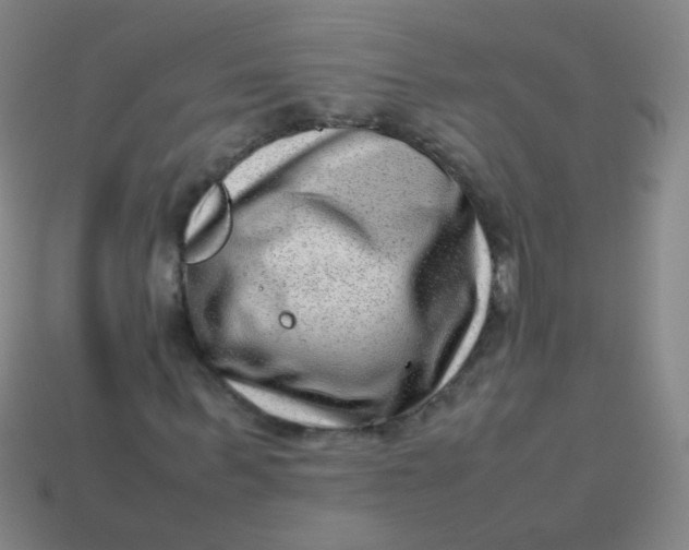 X0000113540963200910091240