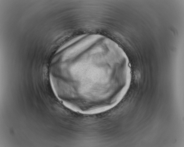 X0000113540964200910091240