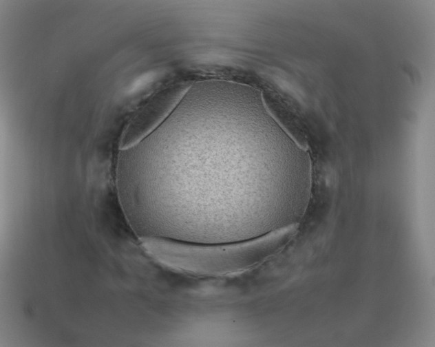 X0000113540965200910091240