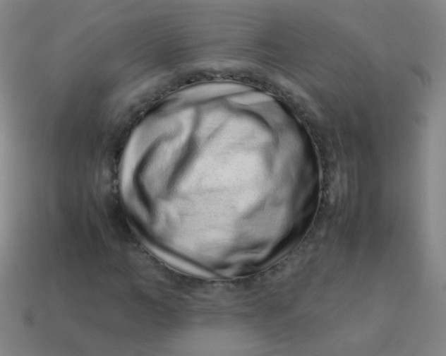 X0000113540966200910091240