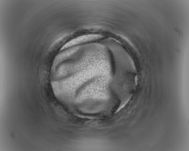 X0000113540967200910091240