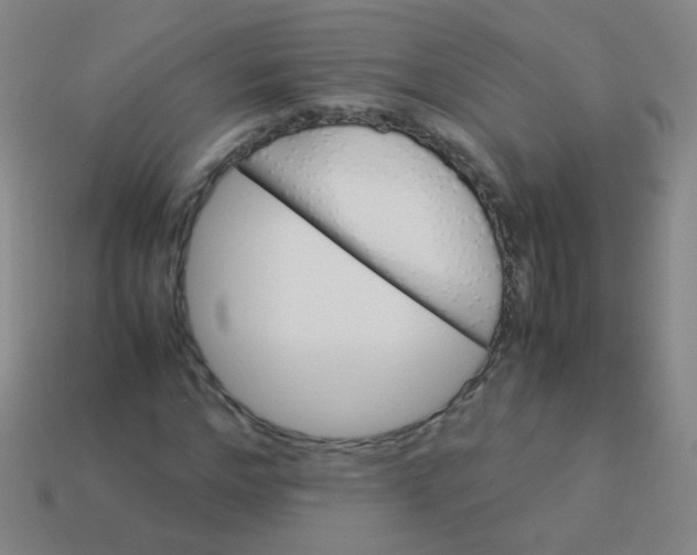 X0000113540968200910091240