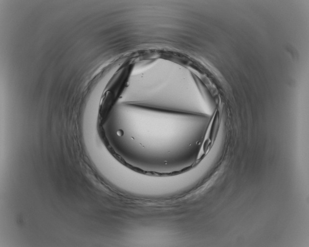 X0000113540969200910091240