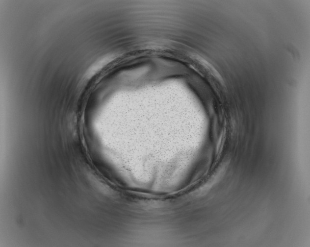 X0000113540970200910091239