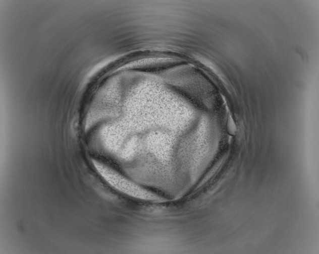 X0000113540971200910091239