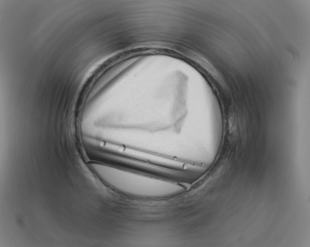 X0000113540972200910091239