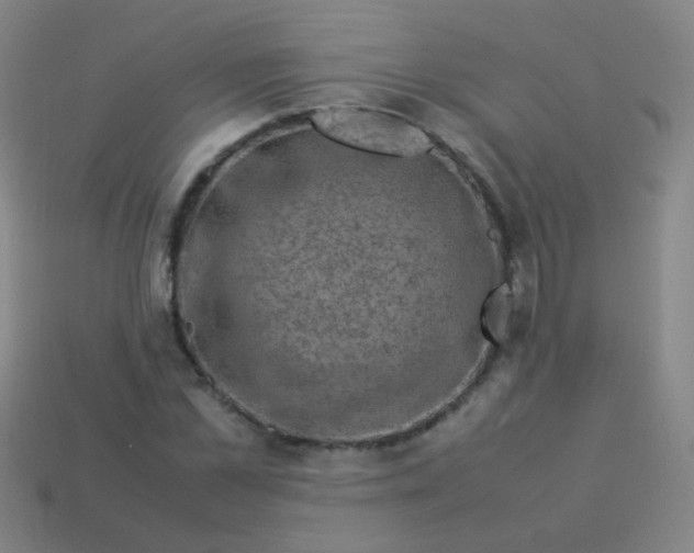 X0000113540973200910091239