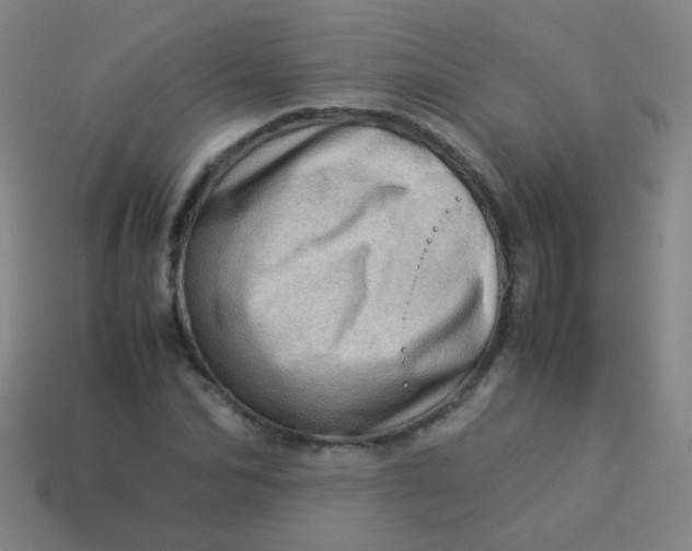 X0000113540974200910091239