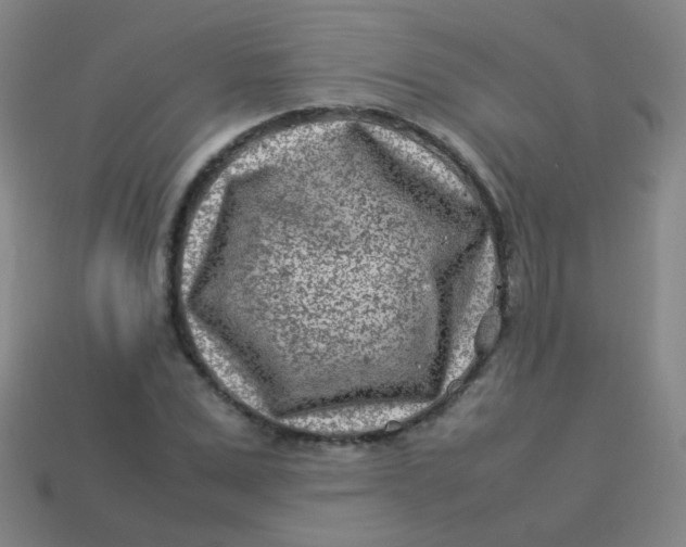 X0000113540975200910091239