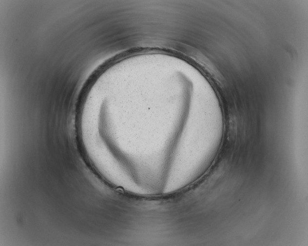 X0000113540976200910091239