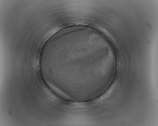 X0000113540977200910091239