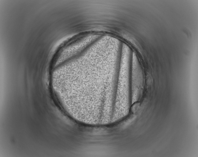 X0000113540979200910091239