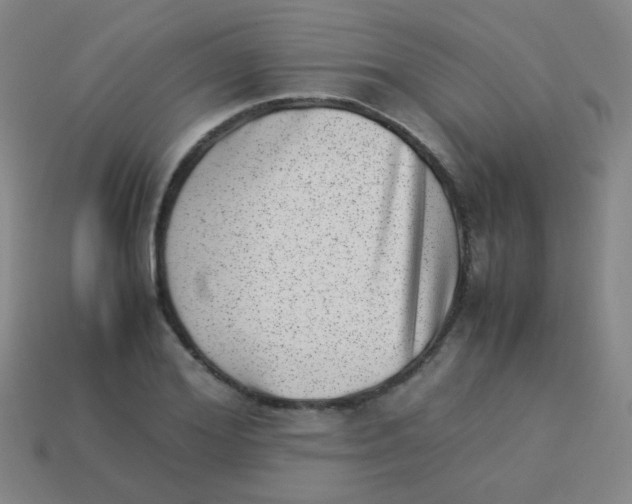 X0000113540980200910091239