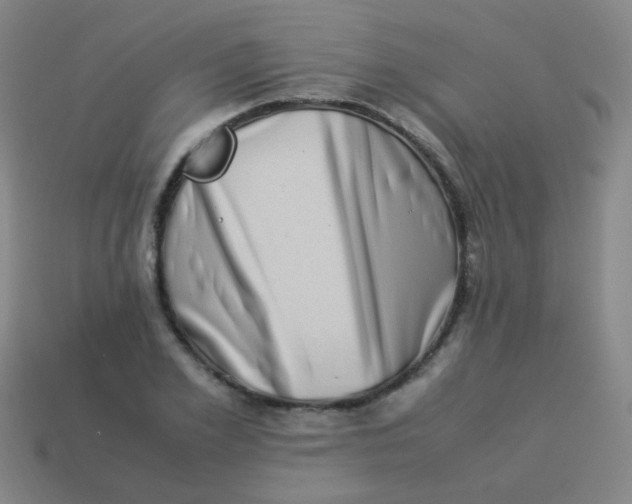 X0000113540981200910091239