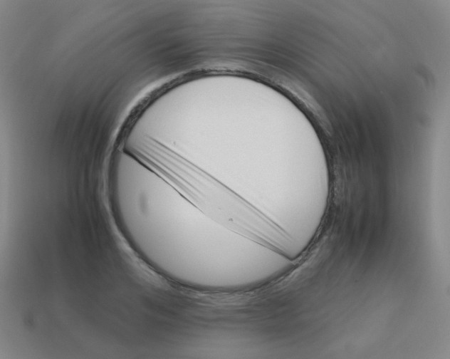 X0000113540984200910091239